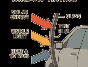 The Best Applications for 35 Vlt Window Tint