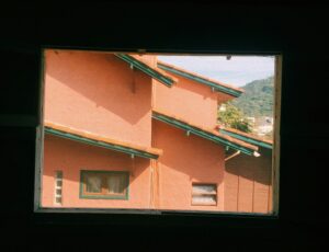 Impact of UV and Solar Window Films on Indoor Plants