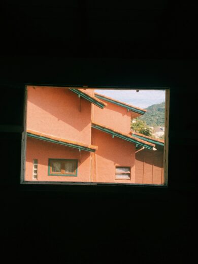Impact of UV and Solar Window Films on Indoor Plants